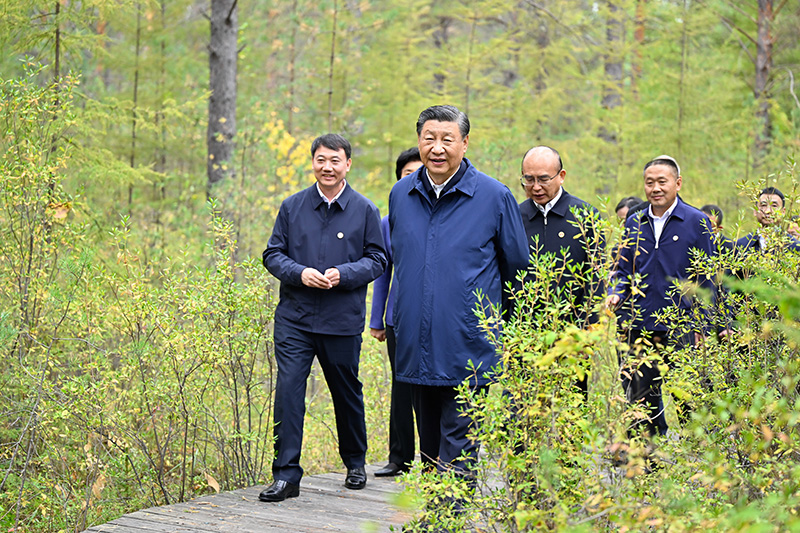 9月6日至8日，中共中央总书记、国度主席、中央军委主席习近平在黑龙江调查。这是6日下午，习近平在大兴安岭地域漠河市漠河林场天然林区调查