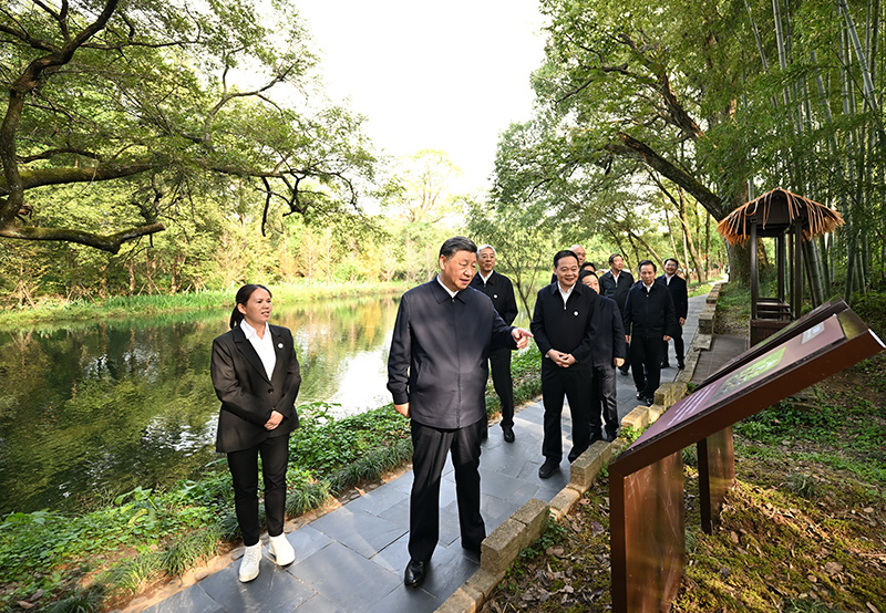 豪门国际官网-相信品牌力量